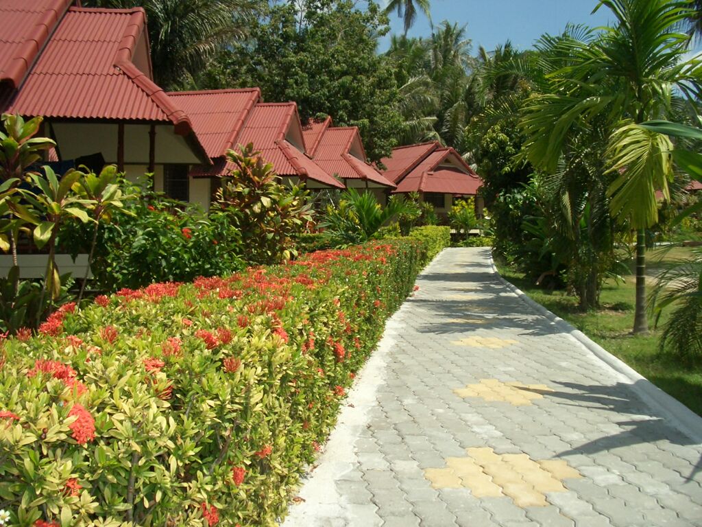 Click to See Next Image